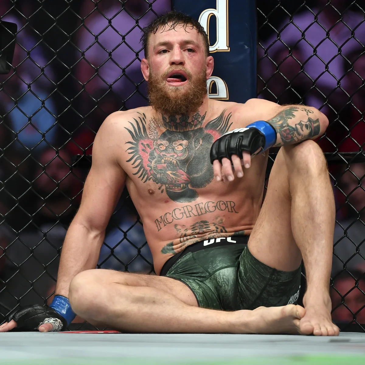 100+ Conor McGregor Captions for Instagram----