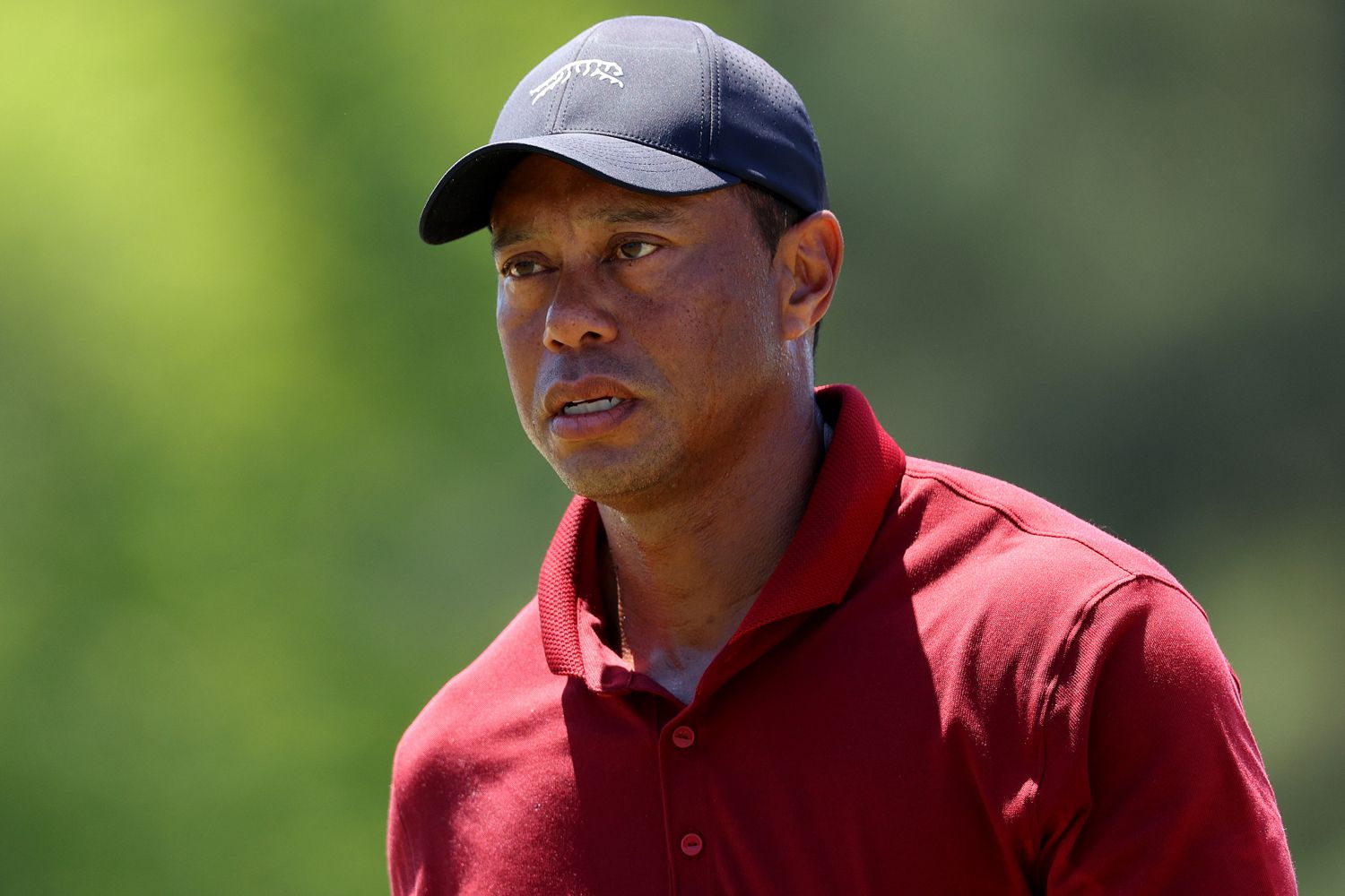 100+ Tiger Woods Captions for Instagram----------