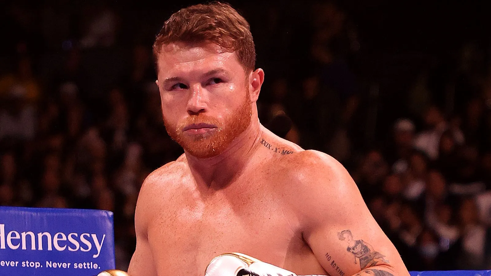 100+ Inspirational Quotes from Canelo Alvarez-