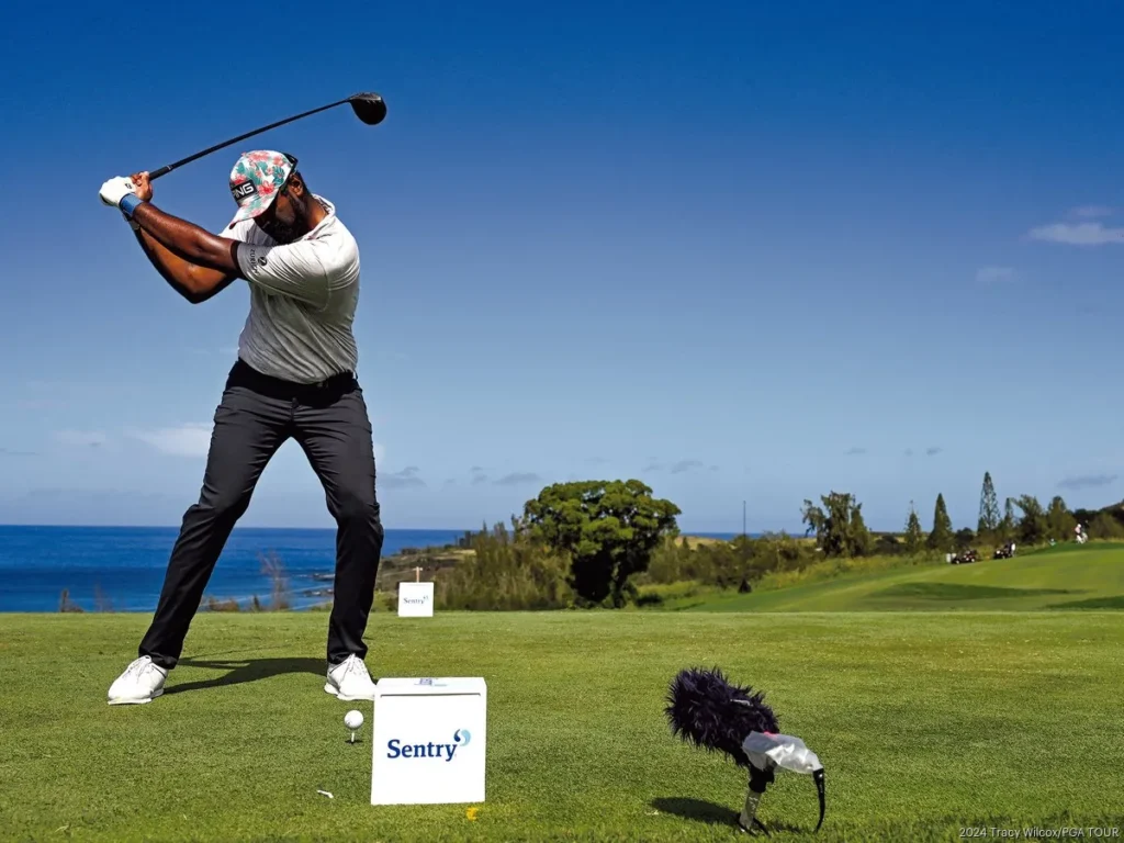 PGA Tour 2025 Kicks Off: Who Will Shine at Maui's Big Sentry Tournament?