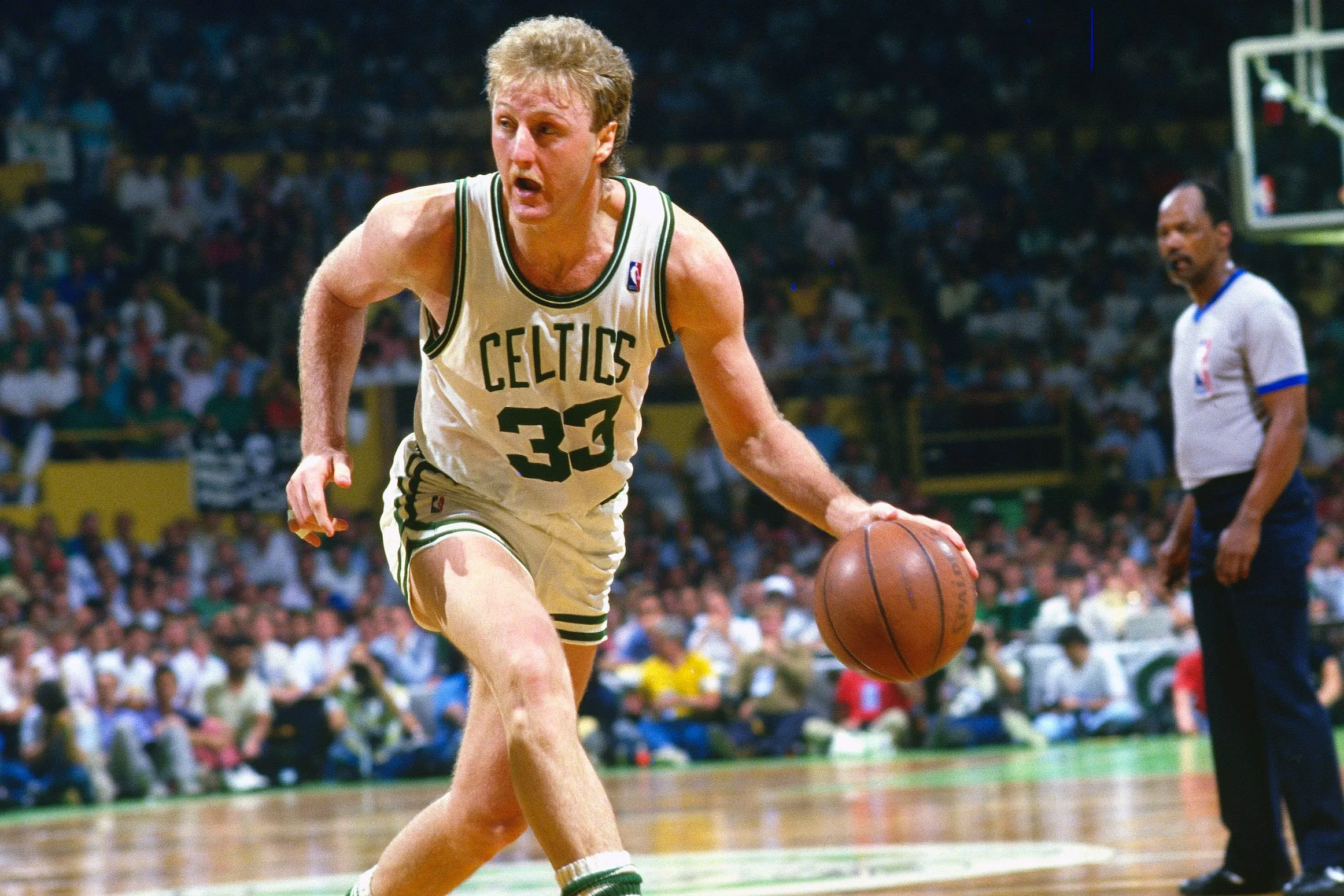 100+ Larry Bird Quotes for Basketball Fans--