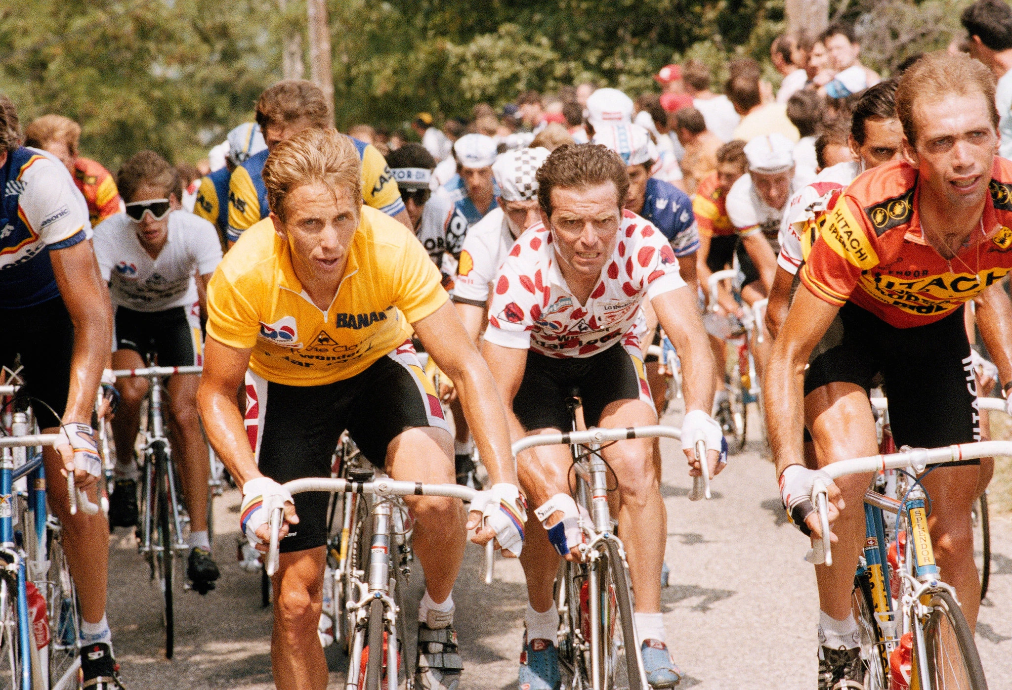 90+ Quotes Inspired by Greg Lemond for Cyclists-------